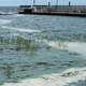 Algae wash up on the shores of Lake Okeechobee